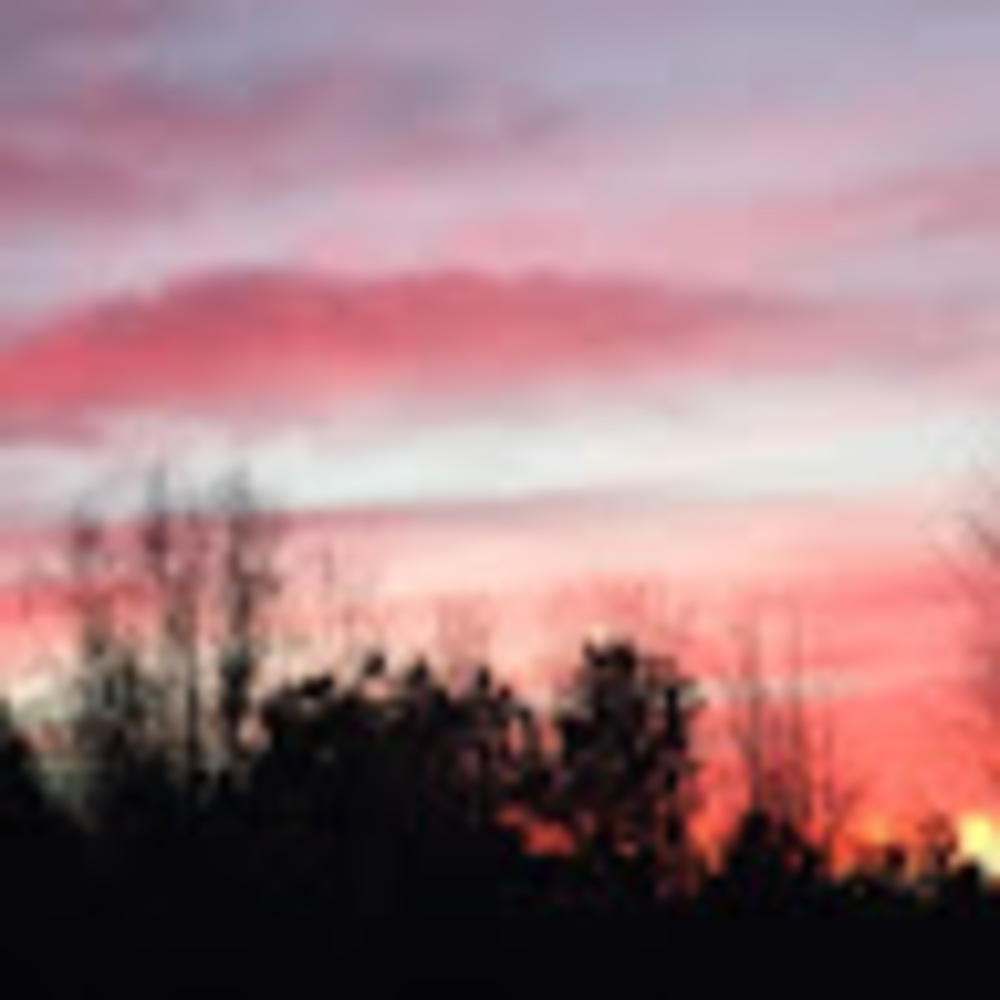 Meet your Posher, Natalee